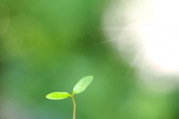 梅雨の憂鬱を吹き飛ばす！子どもの学習意欲を高めるコツ学習アプリ活用法